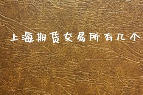 上海期货交易所有几个_https://m.jnkyh.com_股指期货_第1张