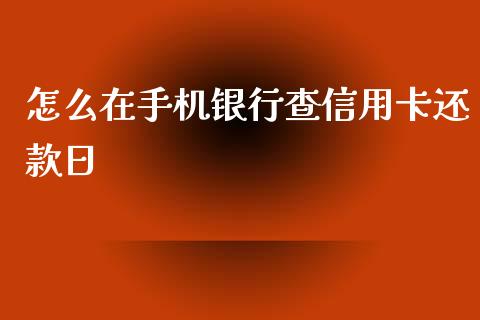 怎么在手机银行查信用卡还款日_https://m.jnkyh.com_股票交易_第1张