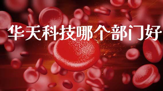 华天科技哪个部门好_https://m.jnkyh.com_股指期货_第1张