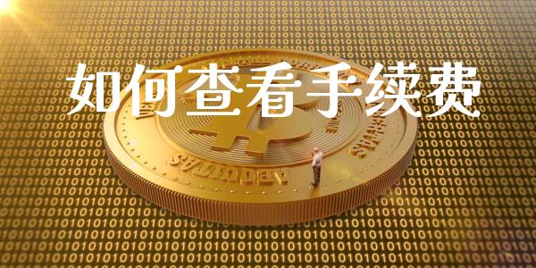 如何查看手续费_https://m.jnkyh.com_股票交易_第1张