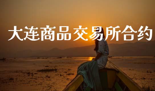 大连商品交易所合约_https://m.jnkyh.com_股票交易_第1张