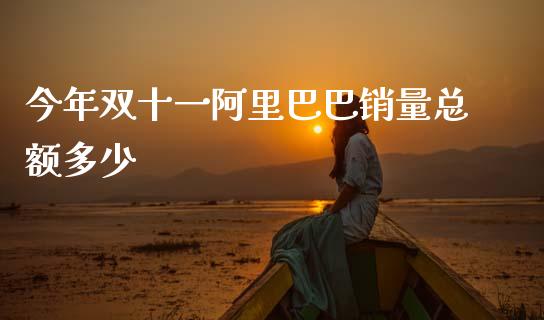今年双十一阿里巴巴销量总额多少_https://m.jnkyh.com_股票交易_第1张