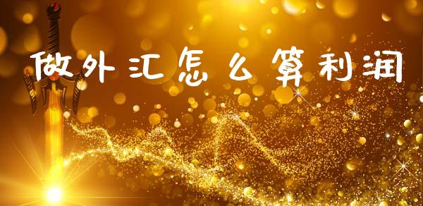 做外汇怎么算利润_https://m.jnkyh.com_期货开户条件_第1张