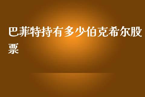 巴菲特持有多少伯克希尔股票_https://m.jnkyh.com_股票交易_第1张