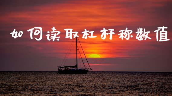 如何读取杠杆称数值_https://m.jnkyh.com_股指期货_第1张