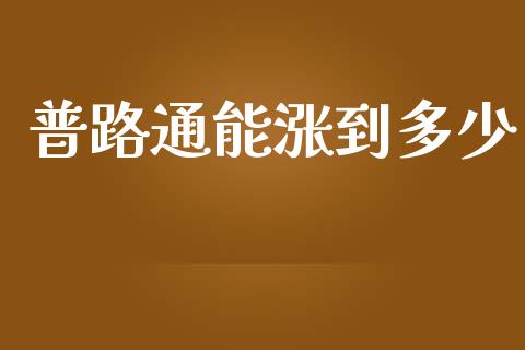 普路通能涨到多少_https://m.jnkyh.com_股指期货_第1张