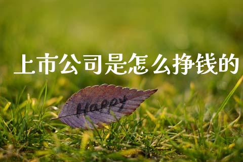 上市公司是怎么挣钱的_https://m.jnkyh.com_股指期货_第1张