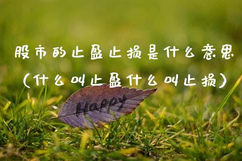 股市的止盈止损是什么意思（什么叫止盈什么叫止损）_https://m.jnkyh.com_股指期货_第1张