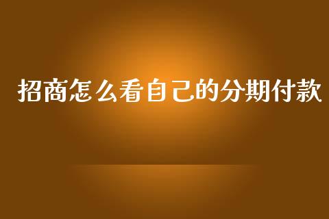 招商怎么看自己的分期付款_https://m.jnkyh.com_国际原油_第1张