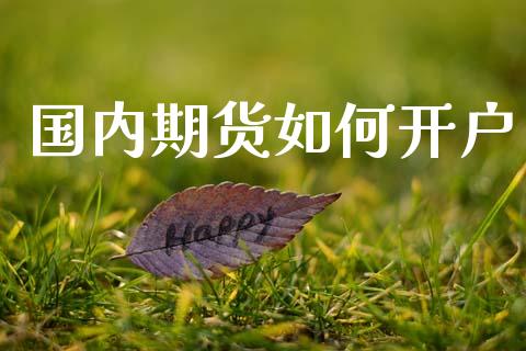 国内期货如何开户_https://m.jnkyh.com_股票交易_第1张