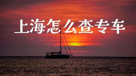 上海怎么查专车_https://m.jnkyh.com_股票交易_第1张