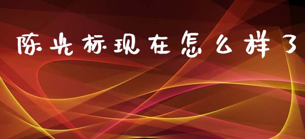 陈光标现在怎么样了_https://m.jnkyh.com_股票交易_第1张