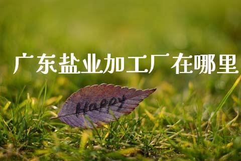 广东盐业加工厂在哪里_https://m.jnkyh.com_股票交易_第1张