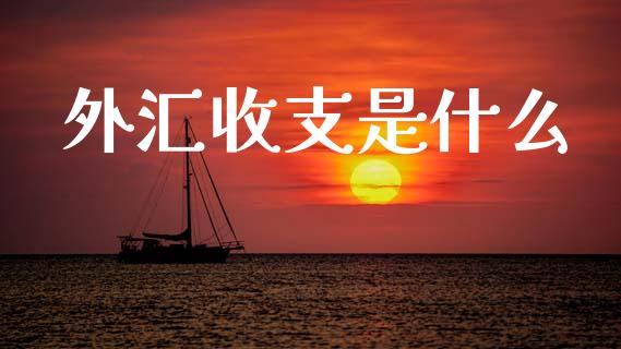 外汇收支是什么_https://m.jnkyh.com_股指期货_第1张