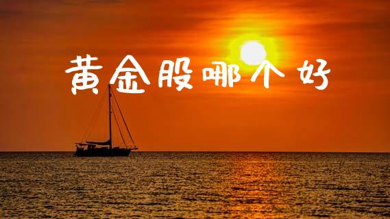黄金股哪个好_https://m.jnkyh.com_股票交易_第1张