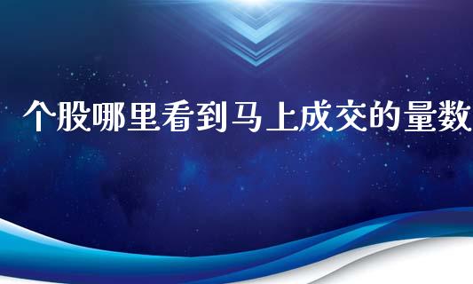 个股哪里看到马上成交的量数_https://m.jnkyh.com_期货开户条件_第1张