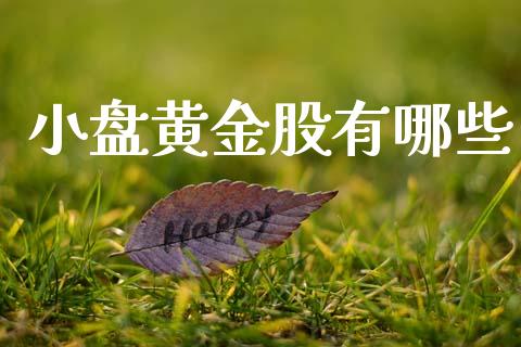 小盘黄金股有哪些_股票交易_第1张_股指期货_期货开户条件_国际原油_股票交易 小盘黄金股有哪些_https://m.jnkyh.com_股票交易_第1张