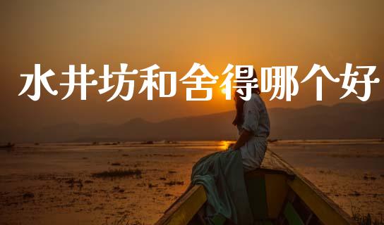水井坊和舍得哪个好_https://m.jnkyh.com_期货开户条件_第1张