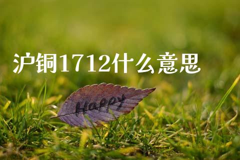 沪铜1712什么意思_期货开户条件_第1张_股指期货_期货开户条件_国际原油_股票交易 沪铜1712什么意思_https://m.jnkyh.com_期货开户条件_第1张