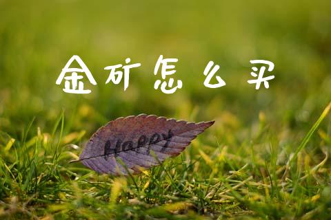 金矿怎么买_https://m.jnkyh.com_股指期货_第1张