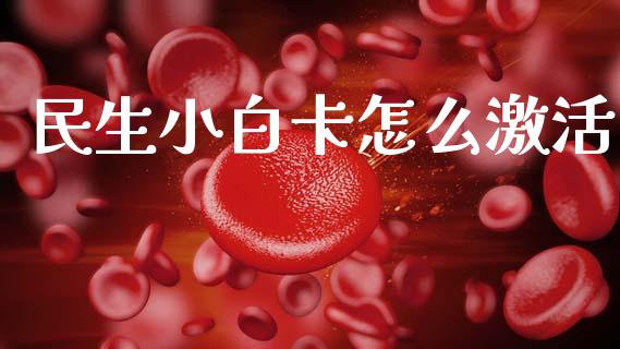 民生小白卡怎么激活_https://m.jnkyh.com_国际原油_第1张
