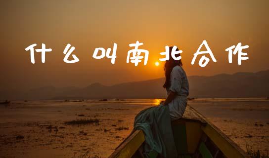 什么叫南北合作_https://m.jnkyh.com_股指期货_第1张