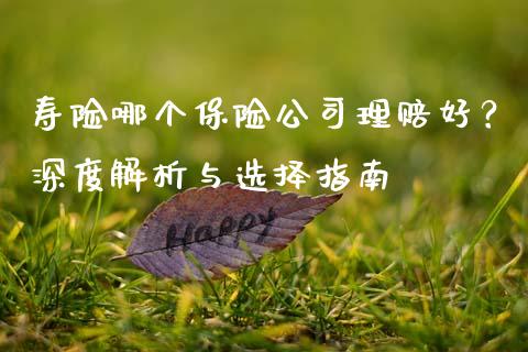 寿险哪个保险公司理赔好？深度解析与选择指南_https://m.jnkyh.com_期货开户条件_第1张