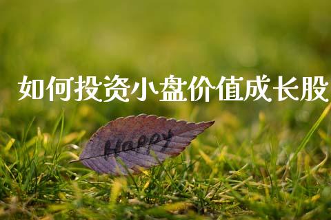 如何投资小盘价值成长股_https://m.jnkyh.com_股指期货_第1张