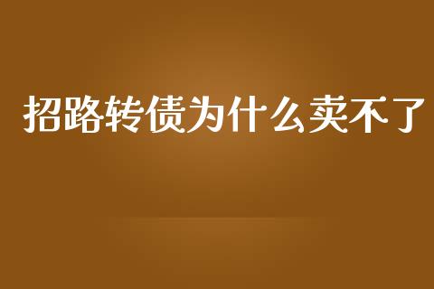 招路转债为什么卖不了_https://m.jnkyh.com_股指期货_第1张