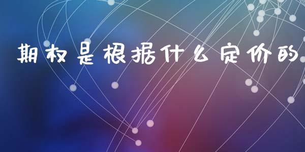 期权是根据什么定价的_https://m.jnkyh.com_股票交易_第1张