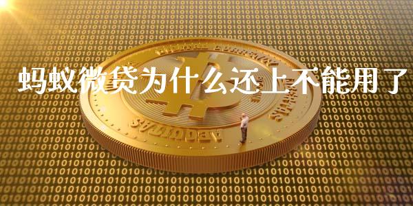 蚂蚁微贷为什么还上不能用了_https://m.jnkyh.com_国际原油_第1张