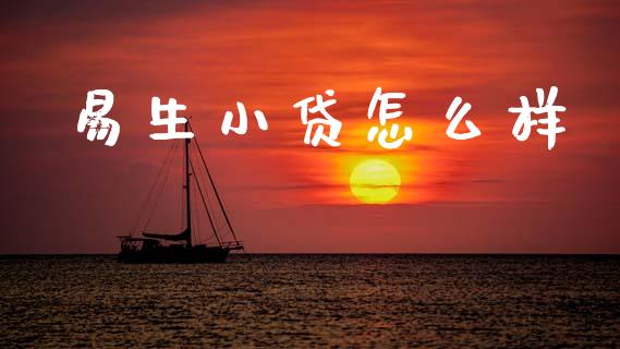 易生小贷怎么样_https://m.jnkyh.com_国际原油_第1张