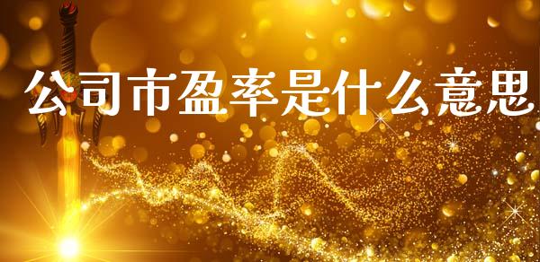 公司市盈率是什么意思_https://m.jnkyh.com_股票交易_第1张