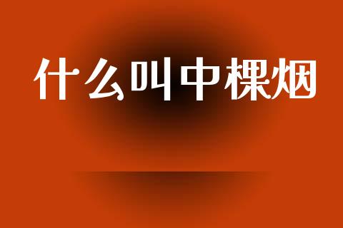 什么叫中棵烟_股票交易_第1张_股指期货_期货开户条件_国际原油_股票交易 什么叫中棵烟_https://m.jnkyh.com_股票交易_第1张