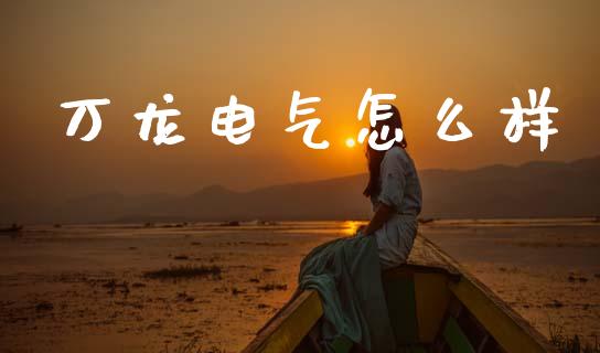万龙电气怎么样_https://m.jnkyh.com_股指期货_第1张