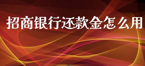 招商银行还款金怎么用_https://m.jnkyh.com_国际原油_第1张