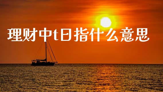 理财中t日指什么意思_https://m.jnkyh.com_期货开户条件_第1张