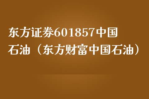 东方证券601857中国石油（东方财富中国石油）_https://m.jnkyh.com_国际原油_第1张