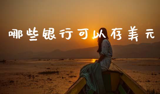 哪些银行可以存美元_https://m.jnkyh.com_股票交易_第1张