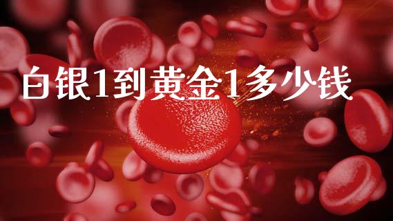 白银1到黄金1多少钱_https://m.jnkyh.com_期货开户条件_第1张