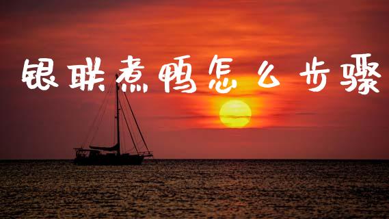 银联煮鸭怎么步骤_https://m.jnkyh.com_期货开户条件_第1张