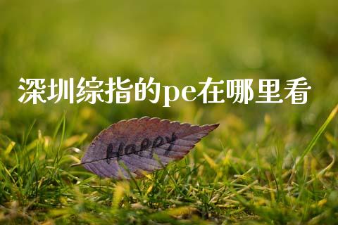 深圳综指的pe在哪里看_https://m.jnkyh.com_股票交易_第1张