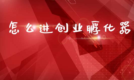 怎么进创业孵化器_https://m.jnkyh.com_股指期货_第1张