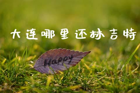 大连哪里还林吉特_https://m.jnkyh.com_期货开户条件_第1张