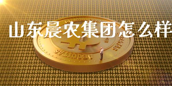 山东晨农集团怎么样_https://m.jnkyh.com_期货开户条件_第1张