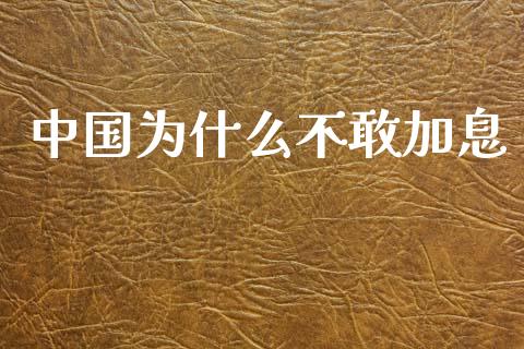 中国为什么不敢加息_https://m.jnkyh.com_股票交易_第1张