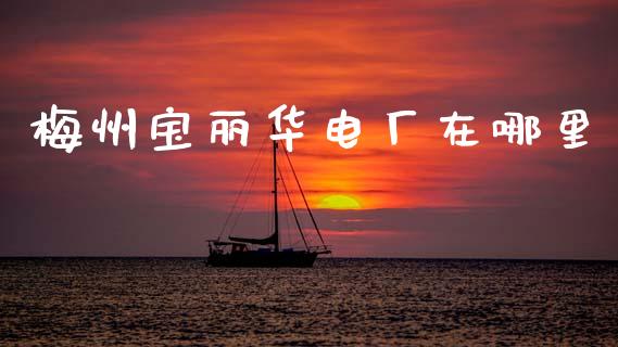 梅州宝丽华电厂在哪里_https://m.jnkyh.com_股指期货_第1张