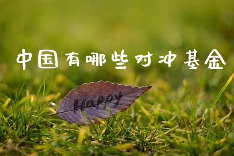 中国有哪些对冲基金_https://m.jnkyh.com_国际原油_第1张