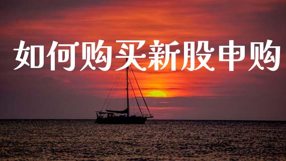 如何购买新股申购_https://m.jnkyh.com_股票交易_第1张