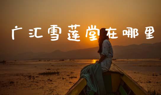 广汇雪莲堂在哪里_https://m.jnkyh.com_国际原油_第1张